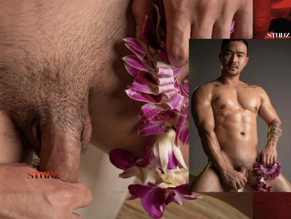 STUDZ-01--Zesty--Ebook--Video-